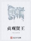 贞观贤王