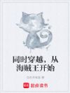 同时穿越,从海贼王开始
