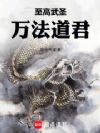 从斩仙飞刀逆伐武林盟主开始