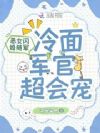 恶女闪婚随军,冷面军官超会宠