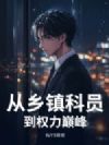 从乡镇科员到权力巅峰