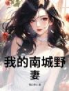 我的南城野妻